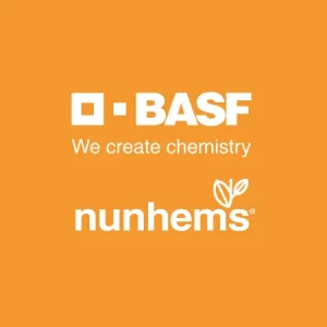 BASF-nunhems