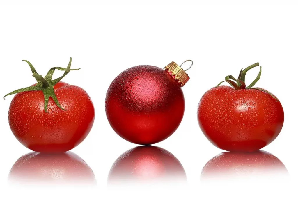 giyah-home-tomato